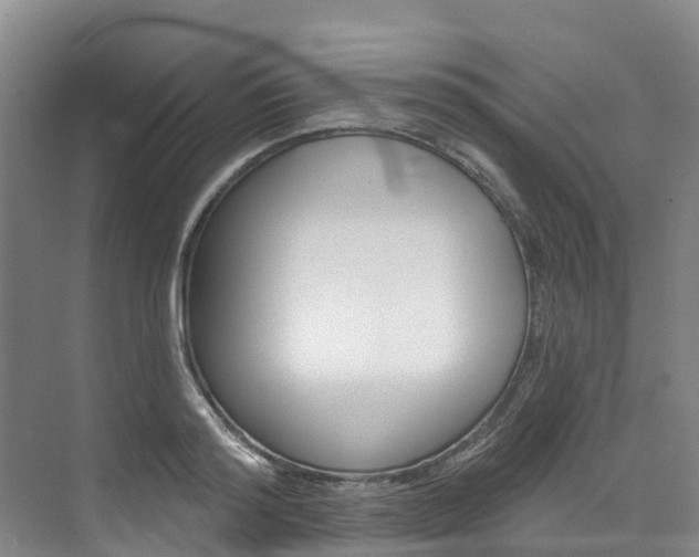 X0000074940796200609010944