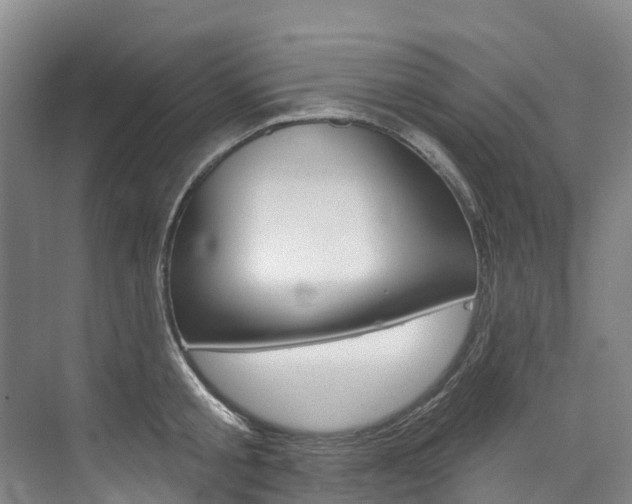 X0000074940805200609010943