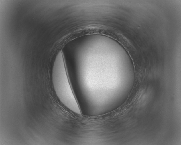X0000074940821200609010942