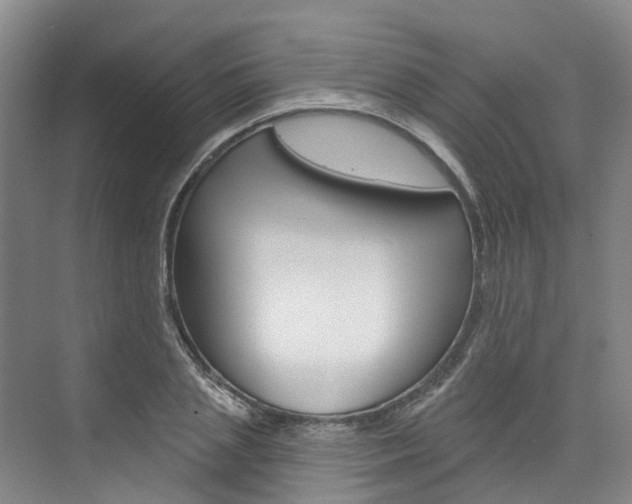 X0000074940837200609010943