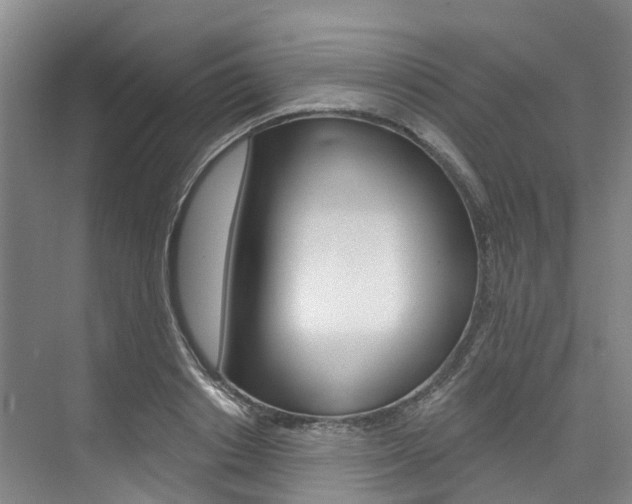 X0000074940842200609010943