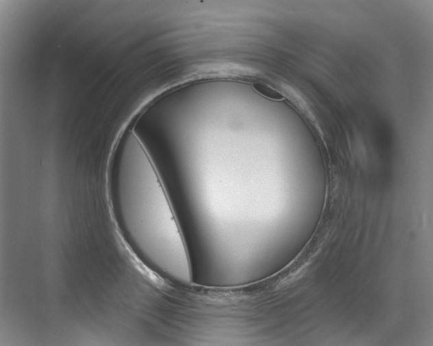 X0000074940843200609010943