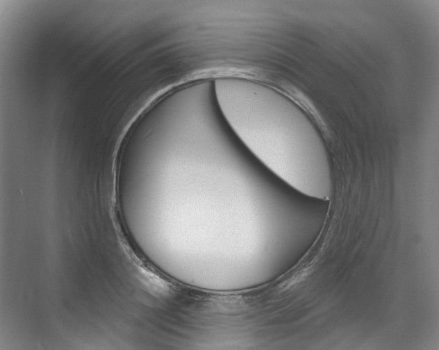 X0000074940844200609010943