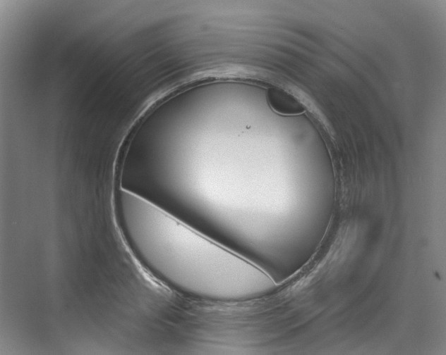 X0000074940845200609010943