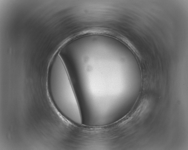 X0000074940853200609010943