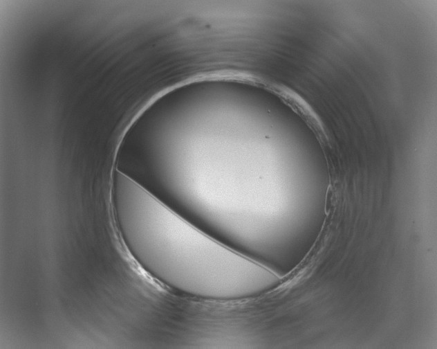 X0000074940860200609010943