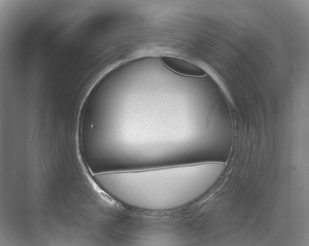 X0000074940861200609010943