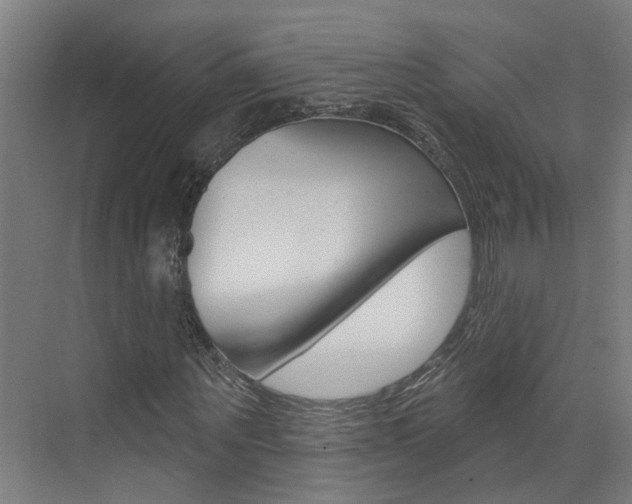 X0000074940867200609010942