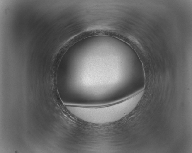 X0000074940872200609010942