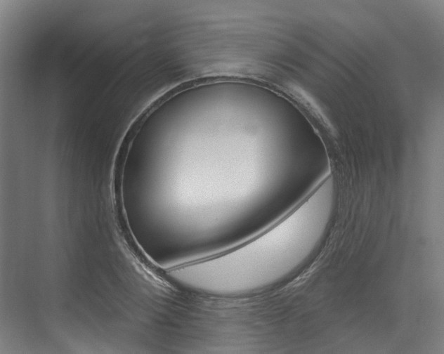 X0000074940884200609010942
