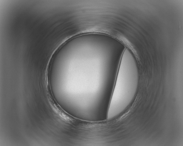 X0000074940892200609010942