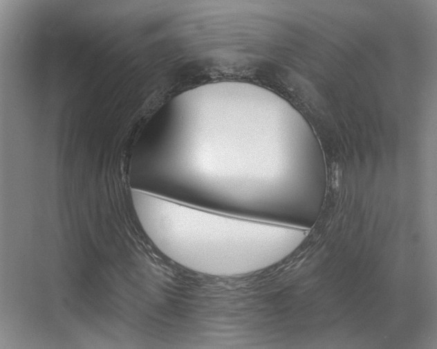 X0000074940915200609010941