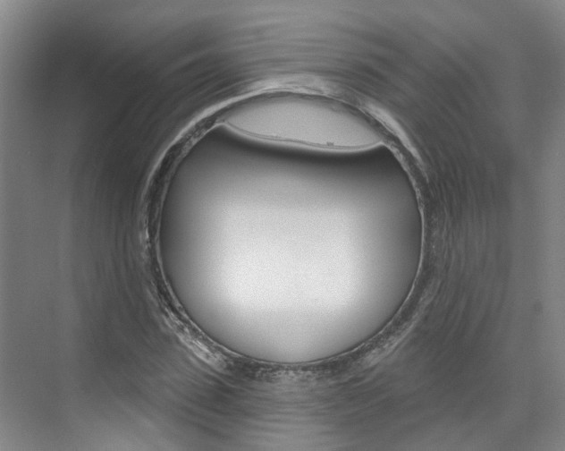 X0000074940923200609010941