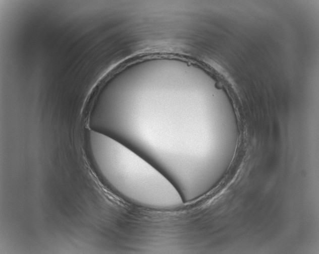 X0000074940925200609010941