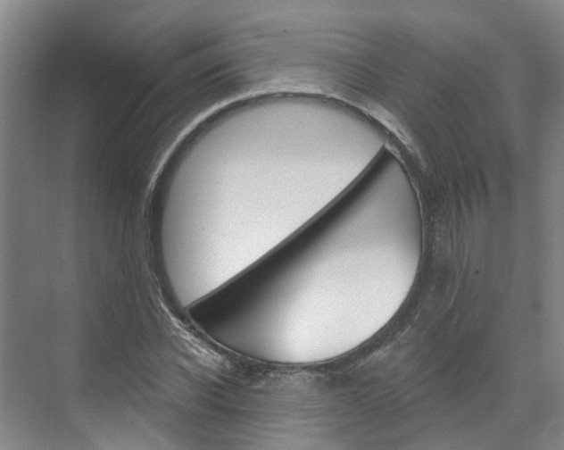 X0000074940926200609010941