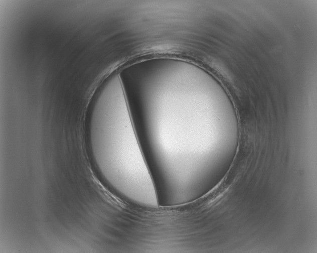 X0000074940930200609010941