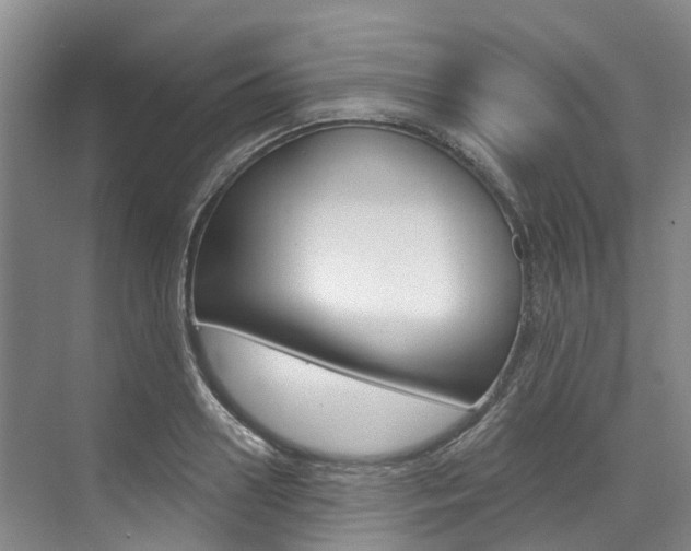 X0000074940938200609010941
