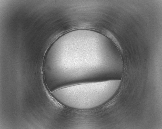 X0000074940954200609010941