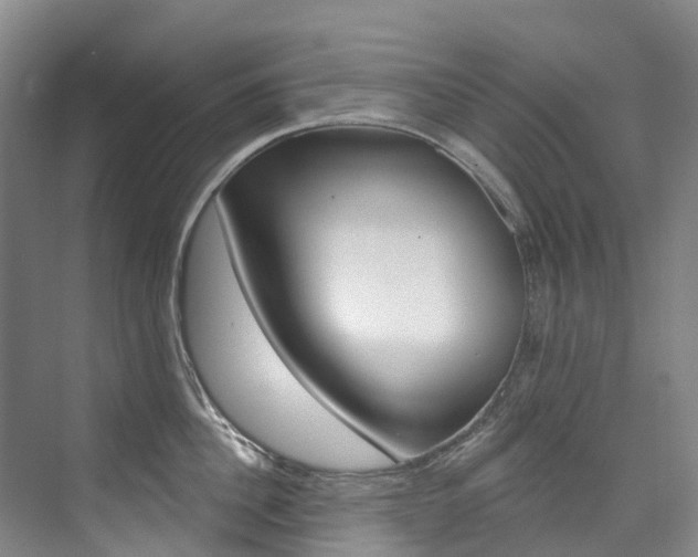 X0000074940956200609010941