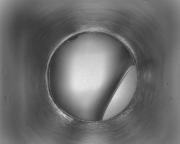 X0000074940959200609010942