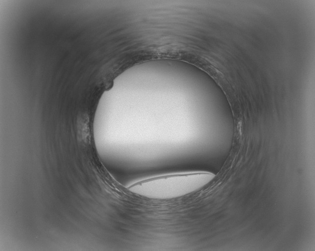 X0000074940963200609010941