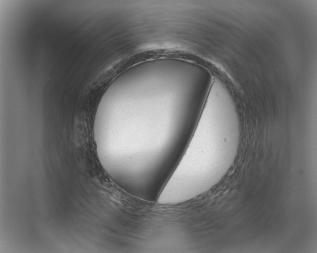 X0000074940967200609010941