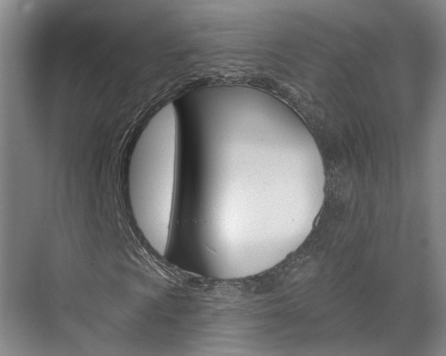 X0000074941009200609010939