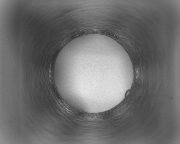 X0000074941011200609010939