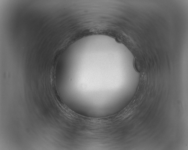 X0000074941012200609010939