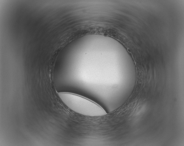 X0000074941013200609010939