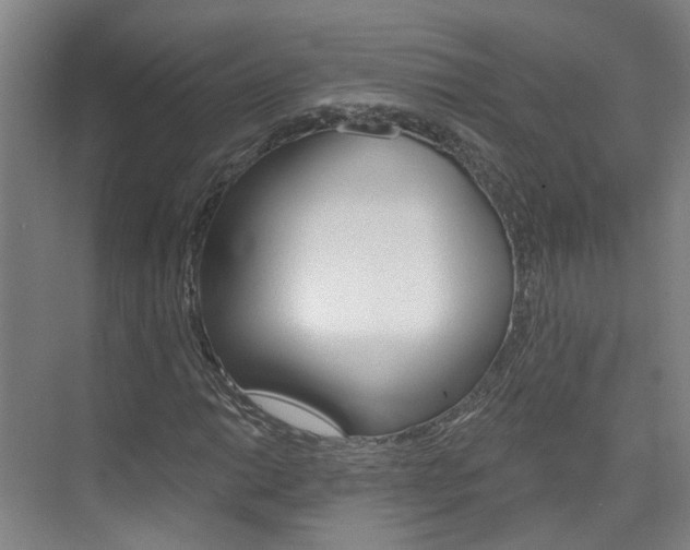 X0000074941014200609010939