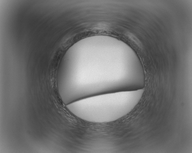 X0000074941015200609010939