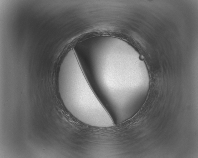 X0000074941016200609010939