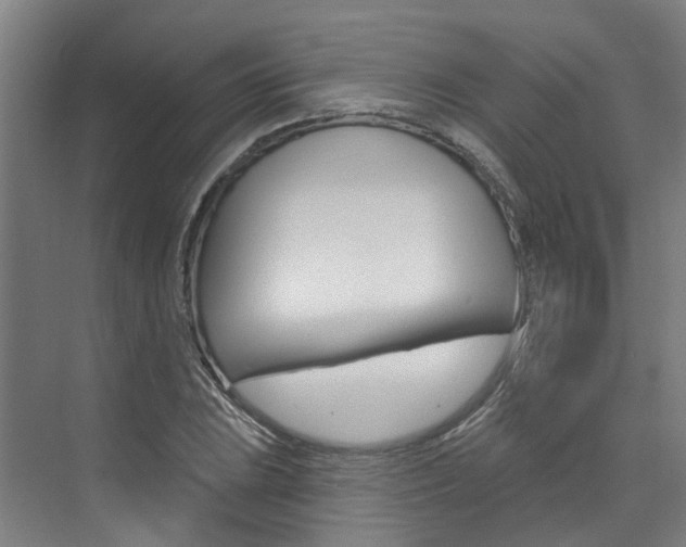 X0000074941023200609010939
