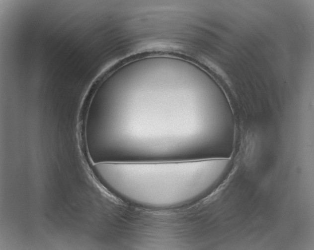 X0000074941029200609010939