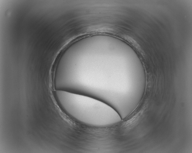 X0000074941031200609010940