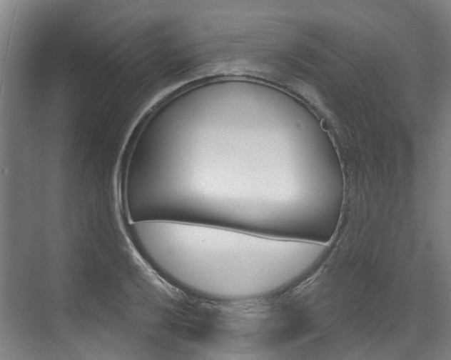X0000074941032200609010940