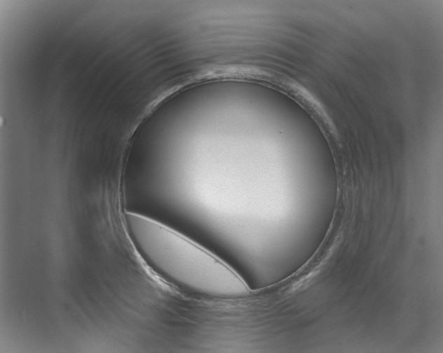X0000074941041200609010940