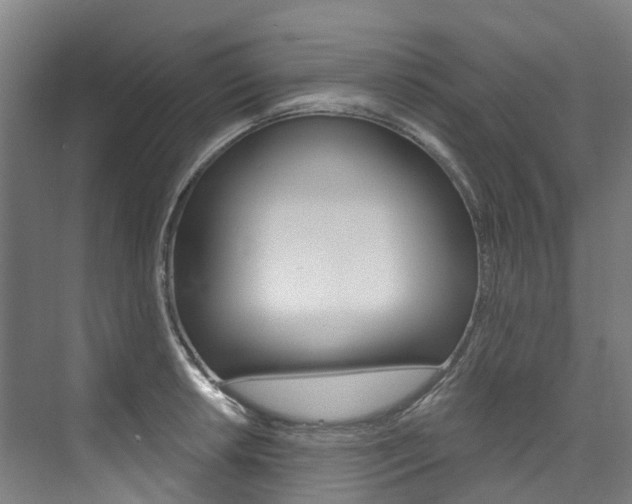X0000074941042200609010940