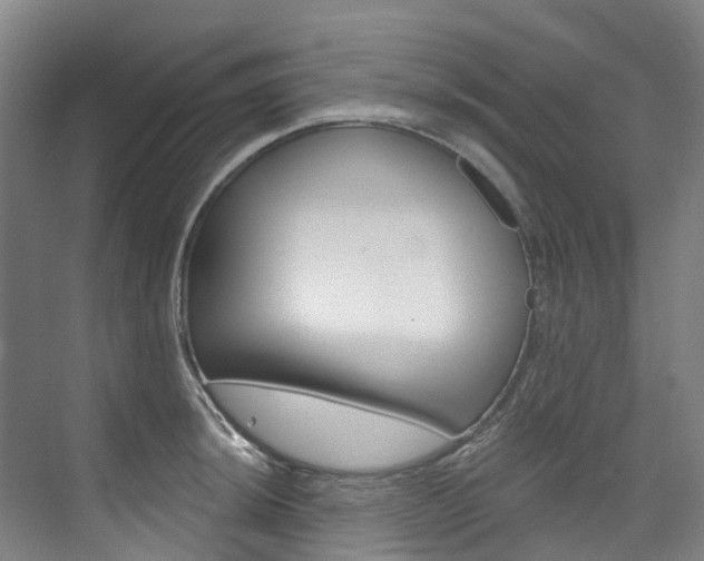 X0000074941044200609010940
