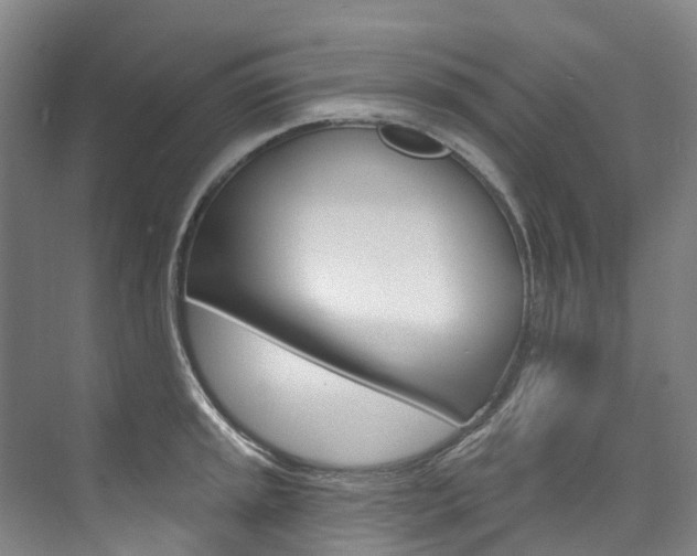X0000074941045200609010940