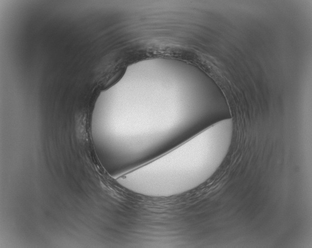 X0000074941060200609010939