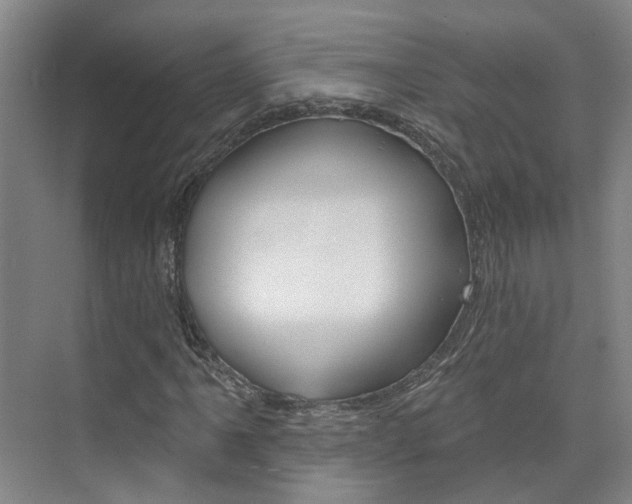 X0000074941061200609010939
