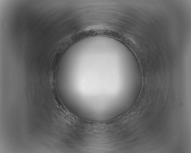 X0000074941062200609010939