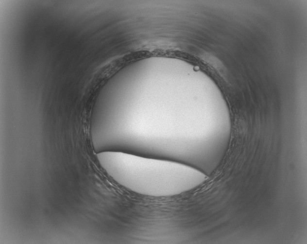 X0000074941063200609010939