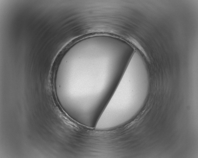 X0000074941068200609010939
