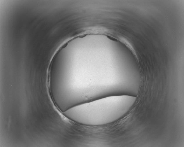 X0000074941103200609010938