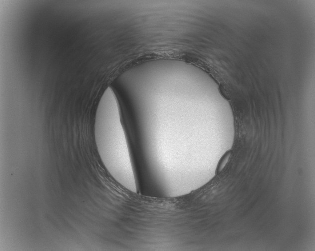 X0000074941106200609010938