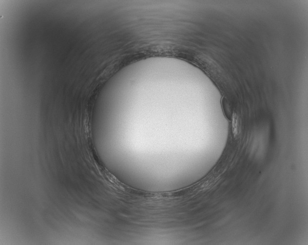 X0000074941107200609010938