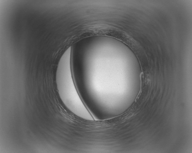X0000074941108200609010938